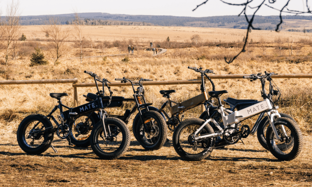 Profibike