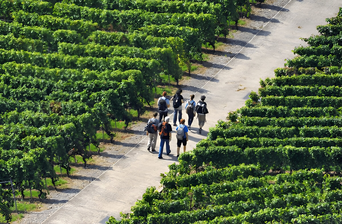 Why Farm Visits Make the Perfect Family Getaway